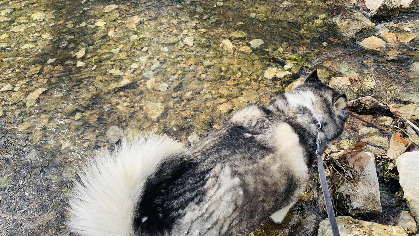 Senior Nutrition article